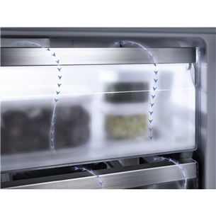 Miele, NoFrost, 246 L, 177 cm - Built-in refrigerator