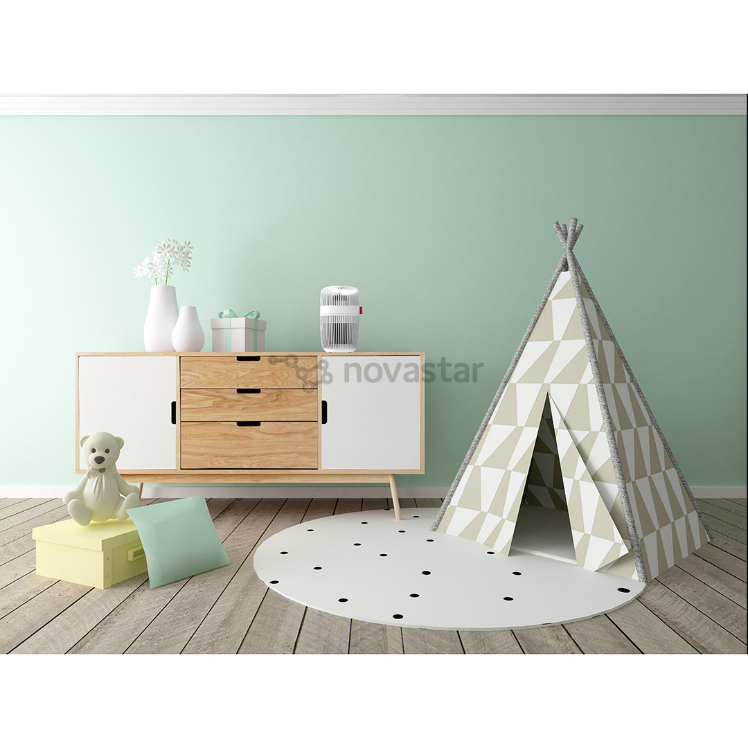 Oro valytuvas Boneco P130