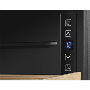 Vyno šaldytuvas Hisense RW12D4NWG0