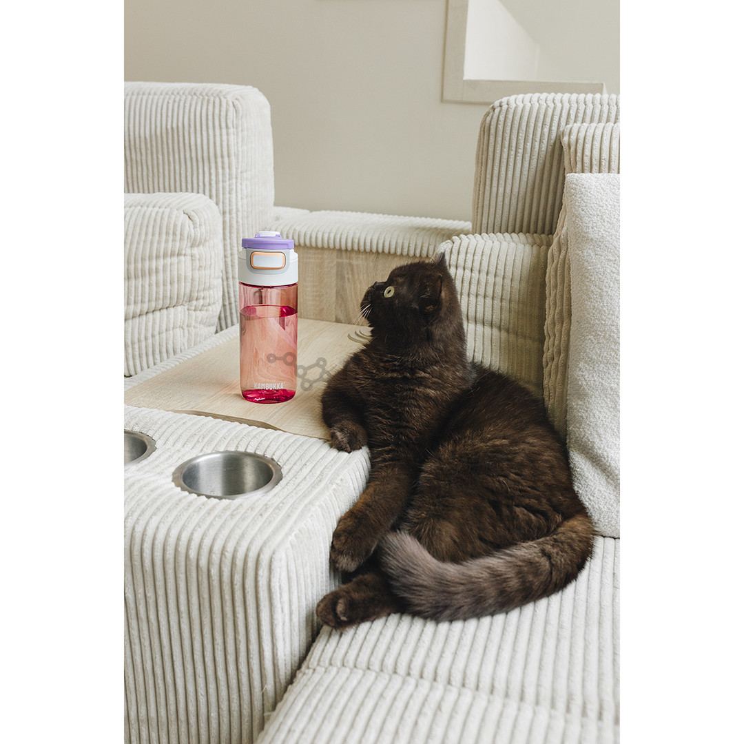 Gertuvė Kambukka Elton, Barely Blush, 500 ml