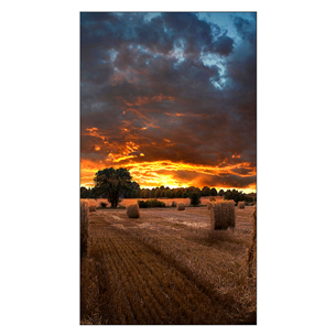 Samsung Videowall VMB-U, 55'', Full HD, LED IPS, black - Display