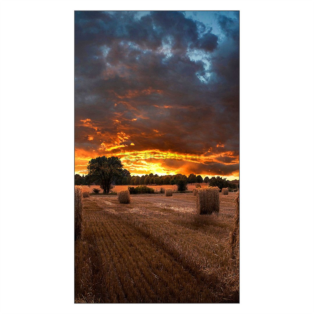 Samsung Videowall VMB-U, 55'', Full HD, LED IPS, черный - Экран