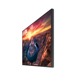 Samsung Signage QM55B, 55", LED VA, Ultra HD, black - Monitor