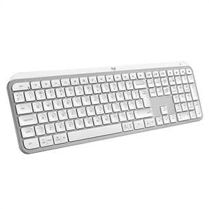 Klaviatūra Logitech MX Keys S, US, Pilka 920-011588