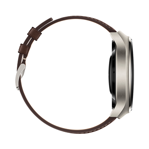 Išmanusis laikrodis Huawei Watch 4 Pro, 48 mm, Silver/Brown