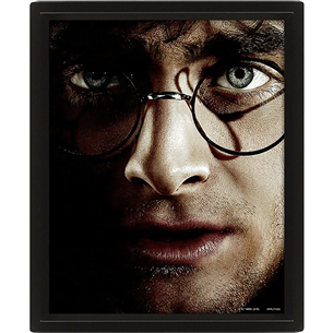 Plakatas Harry Potter vs Voldemort, 20x25 cm, 3D 5051265850065