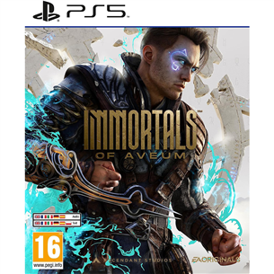 Žaidimas PS5 Immortals of Aveum 5030946125173