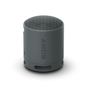 Sony SRS-XB100, black - Portable wireless speaker