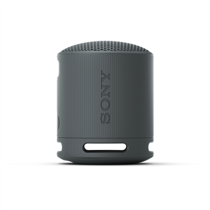 Sony SRS-XB100, black - Portable wireless speaker