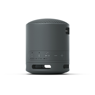 Sony SRS-XB100, black - Portable wireless speaker