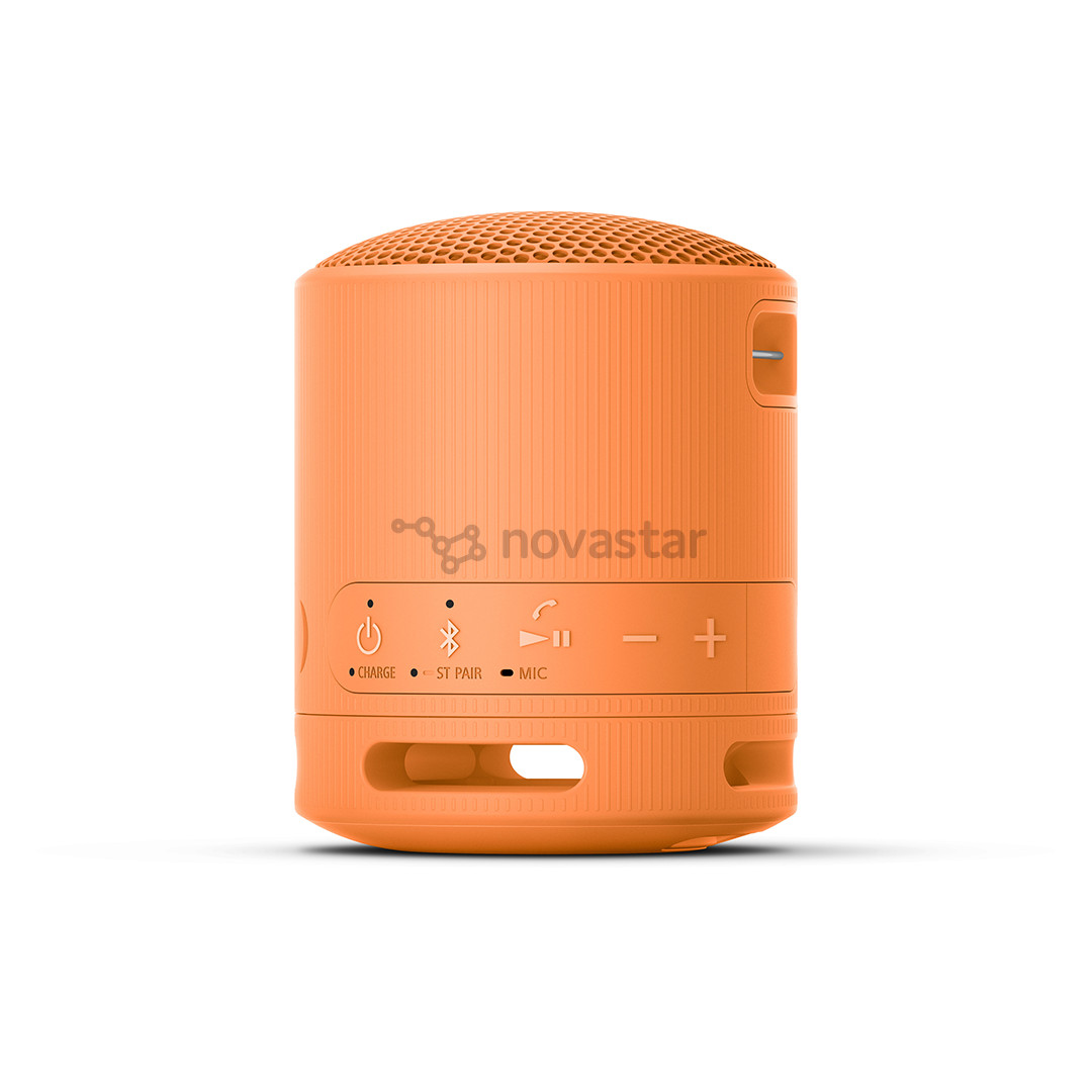 Sony SRS-XB100, orange - Portable wireless speaker