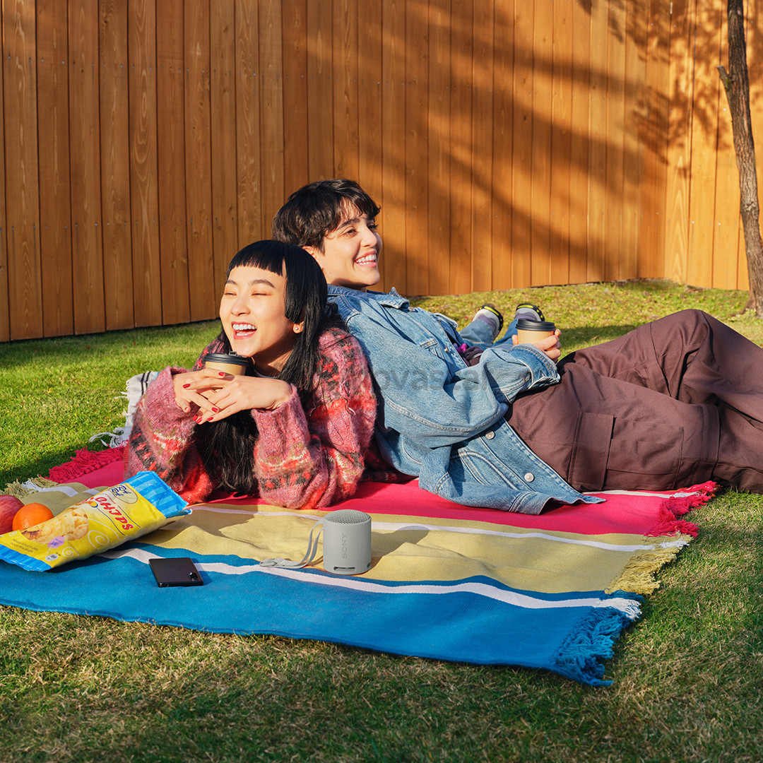 Sony SRS-XB100, light gray - Portable wireless speaker