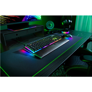 Razer BlackWidow V4, Green Switch, mechanical, SWE, black - Keyboard