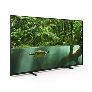 Philips PUS7008, 55'', Ultra HD, LED LCD, black - TV