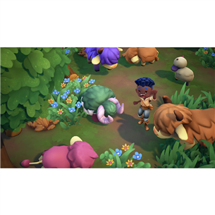 Žaidimas Nintendo Switch Fae Farm