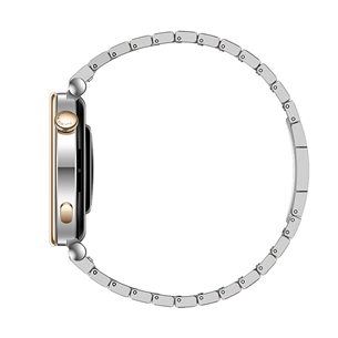 Huawei Watch GT4, 41 mm, nerūdijantis plienas - Išmanusis laikrodis
