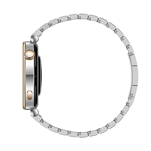 Huawei Watch GT 4, 41 mm, nerūdijantis plienas - Išmanusis laikrodis