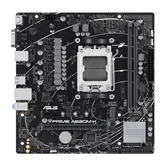 ASUS, AMD A620, DDR5, mATX - Pagrindinė plokštė