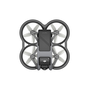 Dronas DJI Avata Fly Smart Combo With FPV Goggles V2, black