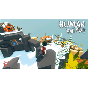 Žaidimas PS4 Human Fall Flat Dream Collection