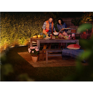 Philips Hue Lightstrip Outdoor, White and Color Ambiance, 5 m, color - Lauko LED šviesos juosta