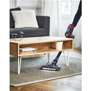 Belaidis dulkių siurblys Tefal X-PERT 6.60 Animal, pilkas