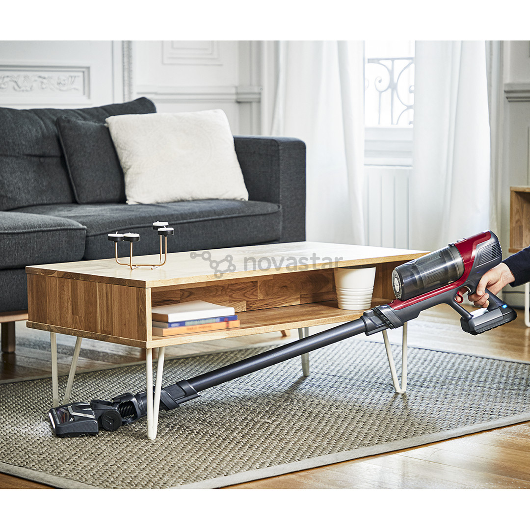 Belaidis dulkių siurblys Tefal X-PERT 6.60 Animal, pilkas