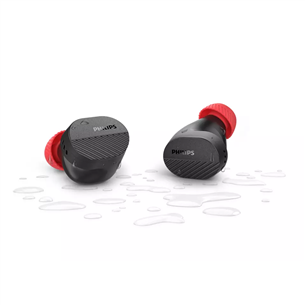 Philips TAA5508, black - True wireless headphones