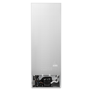 Hisense, 230 L, height 162 cm, silver - Refrigerator