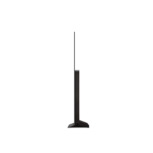 LG evo C4, 55'', 4K UHD, OLED, gray - TV