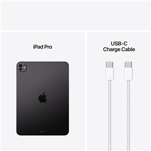 Apple iPad Pro 11”, M4 (2024), 1 ТБ, глянцевый, WiFi, черный - Планшет