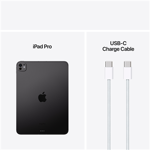 Apple iPad Pro 11”, M4 (2024), 2 ТБ, глянцевый, WiFi + 5G, черный - Планшет