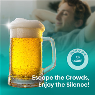 Hisense, 5 L, dark grey - Beer dispenser