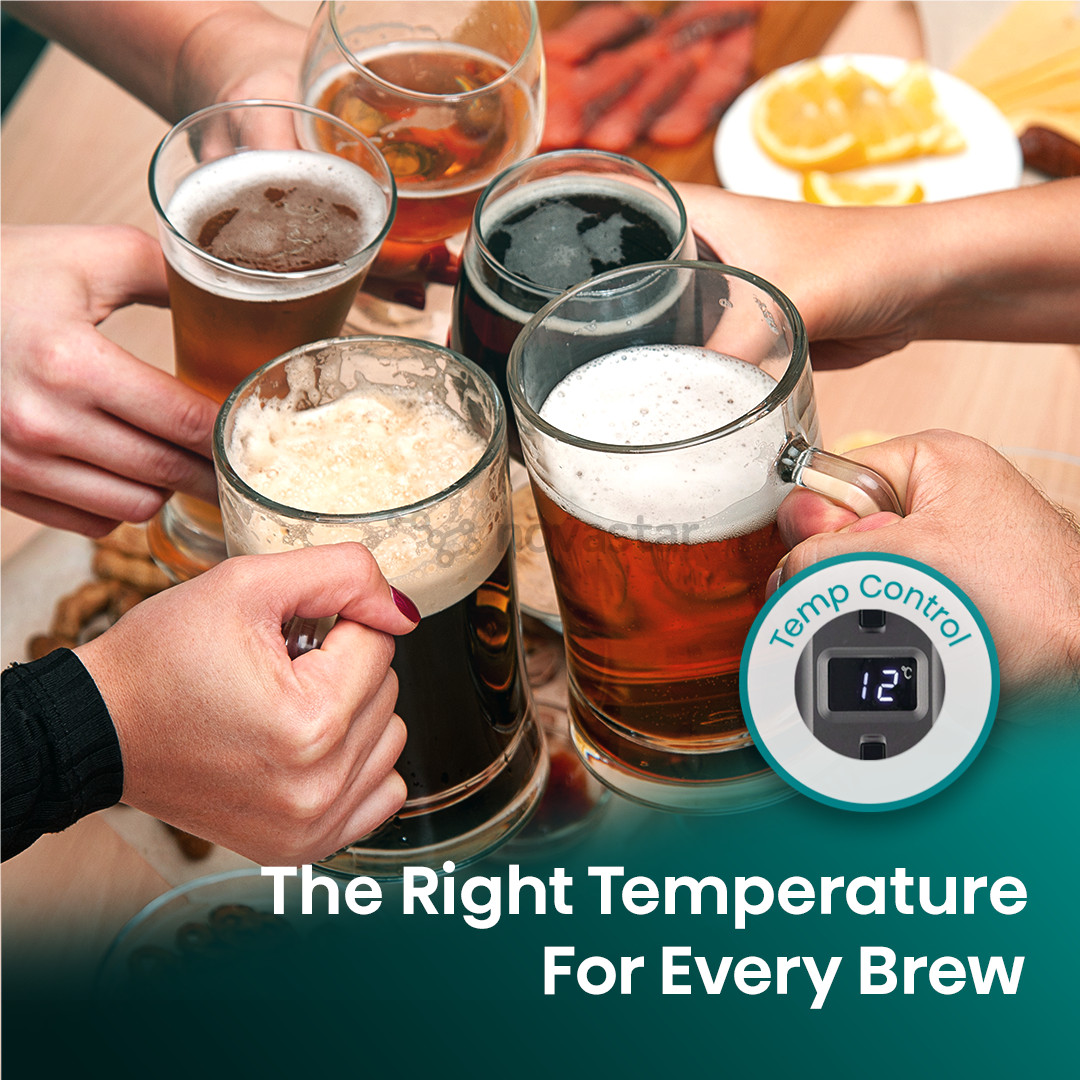 Hisense, 5 L, dark grey - Beer dispenser