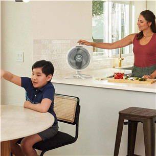 Shark FlexBreeze, baltas - Ventiliatorius