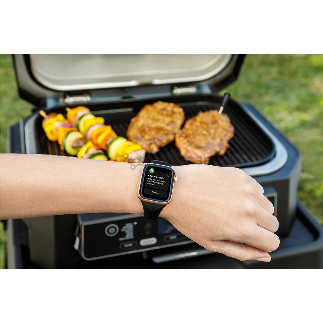 Maisto termometras Ninja ProChef WP100EU, juoda/sidabrinė