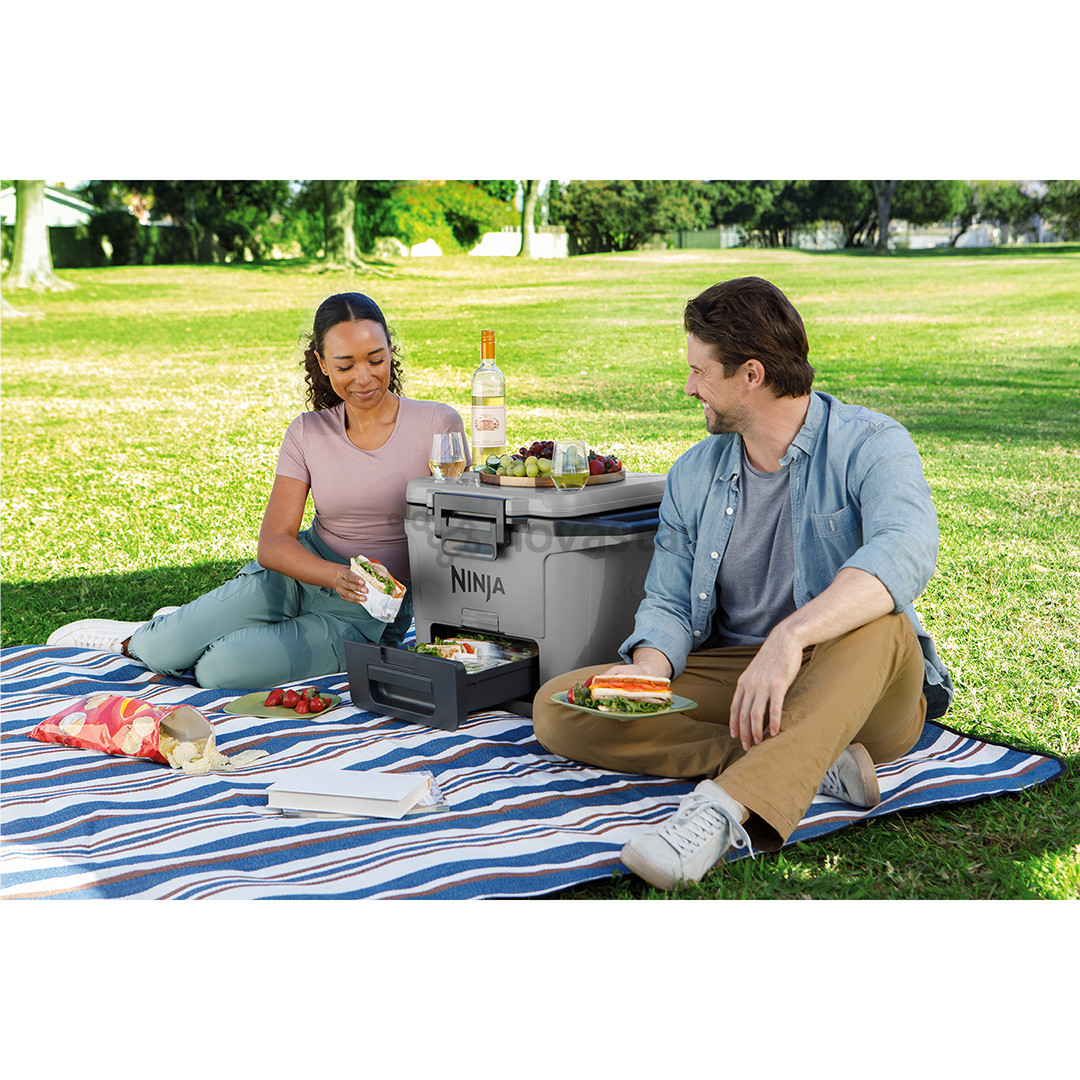 Ninja FrostVault FB131EUGY, 28 L, pilka - Šaldymo dėžė