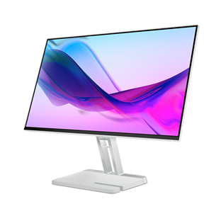 Lenovo L24i-4A, 24'', FHD, IPS, 100 Hz, cloud gray - Monitor