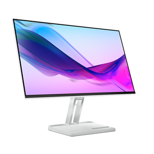 Lenovo L24i-4A, 24'', FHD, IPS, 100 Hz, cloud gray - Monitor