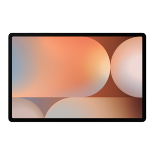 Samsung Galaxy Tab S10+, 256 GB, Wi-Fi, platinum silver - Tablet