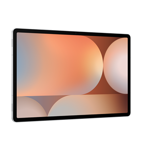 Samsung Galaxy Tab S10+, 256 GB, Wi-Fi, platinum silver - Tablet