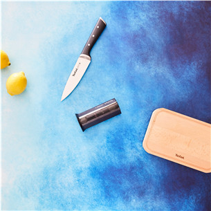 Peilių galąstuvas Tefal Ice Force, 12.5x5.9 cm, juodas