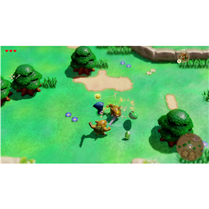 Žaidimas The Legend of Zelda: Echoes of Wisdom, Nintendo Switch
