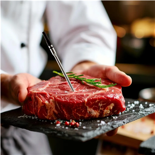 HerQs Double Max, black - Wireless cooking thermometer