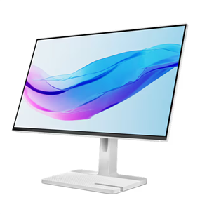 Monitorius Lenovo L24m-4A, 23,8'', FHD, IPS, 100 Hz, pilkas