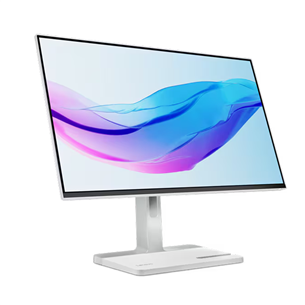 Monitorius Lenovo L24m-4A, 23,8'', FHD, IPS, 100 Hz, pilkas