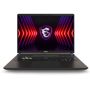 Nešiojamas kompiuteris MSI Vector 16 HX A14V, 16'', 240 Hz, QHD+, i9, 32 GB, 1 TB, RTX 4080, ENG, pilkas