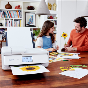 Spausdintuvas Canon PIXMA TS9551 A3