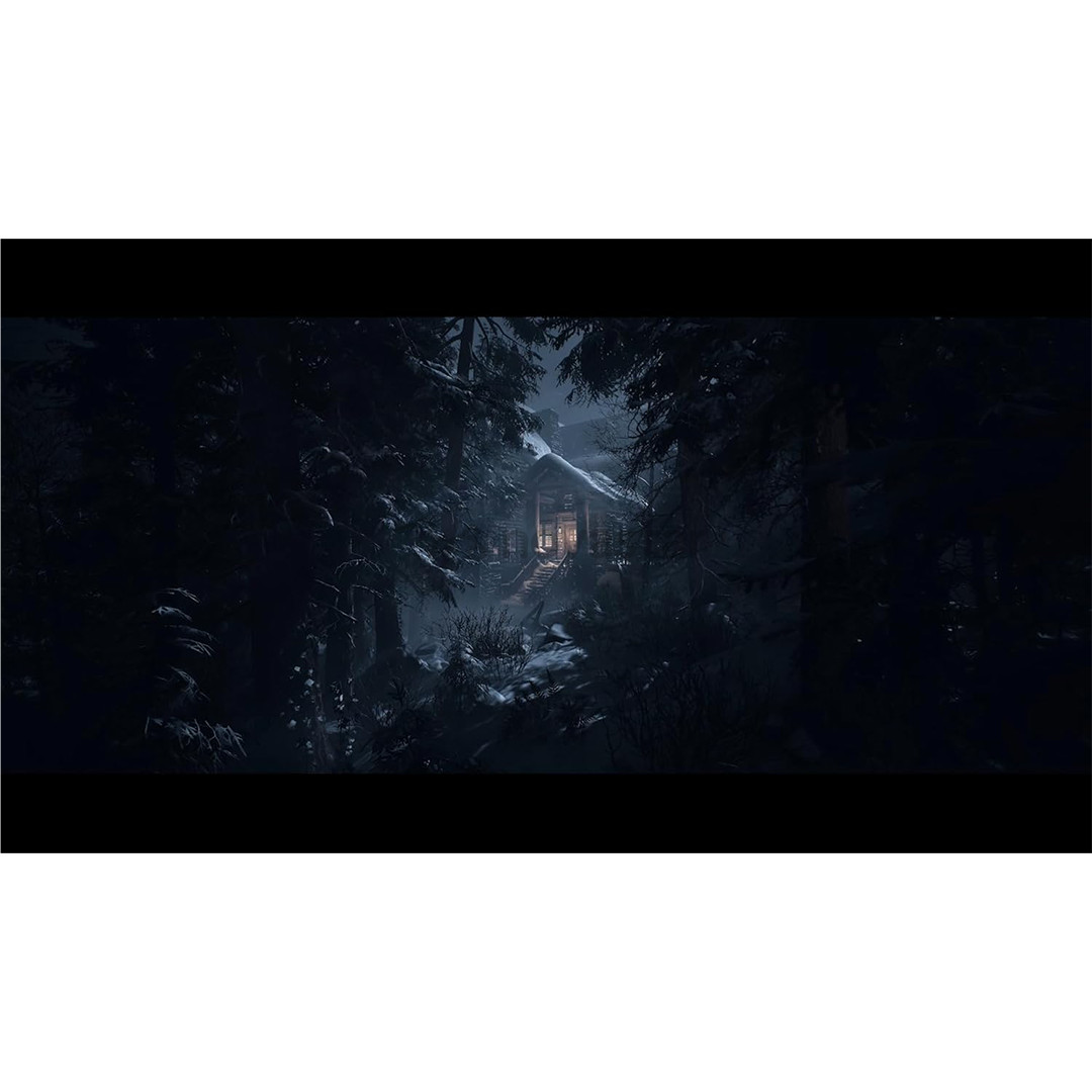 Until Dawn, Playstation 5 - Žaidimas