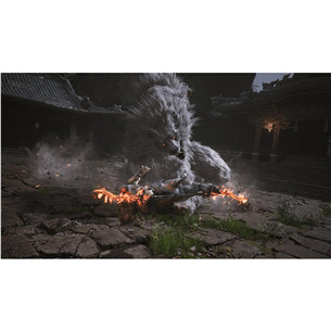 Black Myth: Wukong, PlayStation 5 - Игра